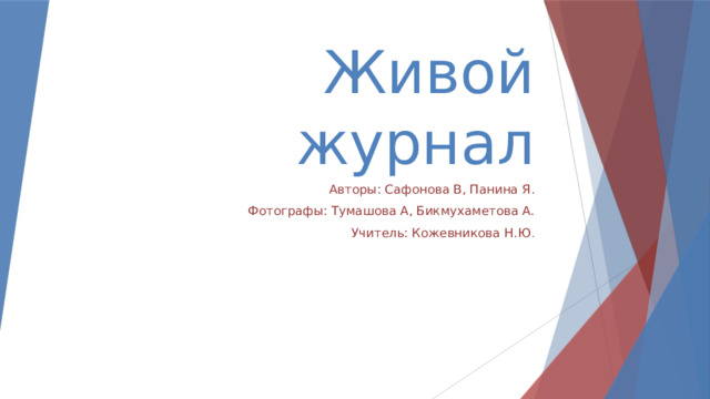 Живой журнал Авторы: Сафонова В, Панина Я. Фотографы: Тумашова А, Бикмухаметова А. Учитель: Кожевникова Н.Ю . 