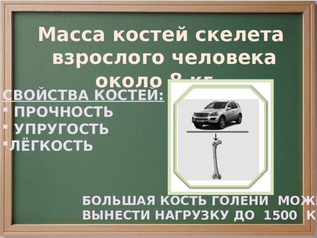 Масса костей скелета  взрослого человека около 8 кг. СВОЙСТВА КОСТЕЙ:  ПРОЧНОСТЬ  УПРУГОСТЬ ЛЁГКОСТЬ БОЛЬШАЯ КОСТЬ ГОЛЕНИ МОЖЕТ ВЫНЕСТИ НАГРУЗКУ ДО 1500 КГ. 