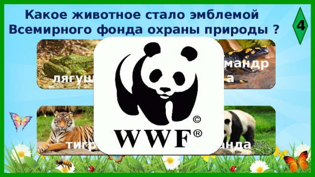Какое животное стало эмблемой Всемирного фонда охраны природы ? 4  лягушка саламандра тигр панда 