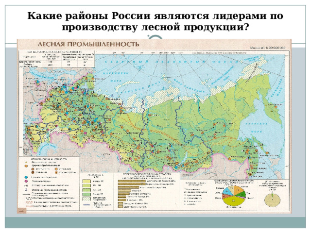 Какие районы России являются лидерами по производству лесной продукции? 