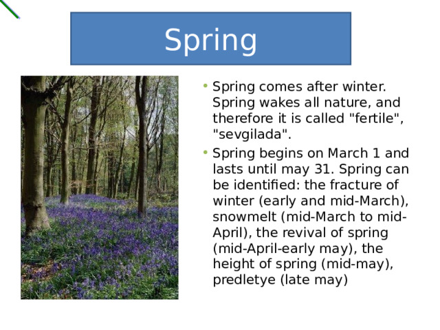 Spring Spring comes after winter. Spring wakes all nature, and therefore it is called 