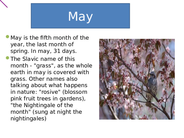 May May is the fifth month of the year, the last month of spring. In may, 31 days. The Slavic name of this month - 