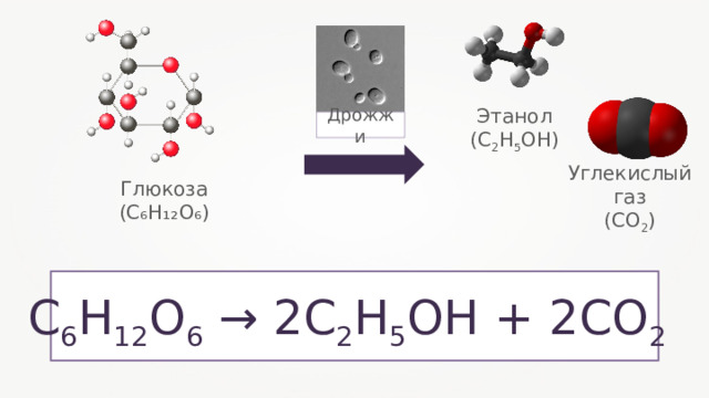 Этанол (С 2 Н 5 ОН) Дрожжи Углекислый газ (СО 2 ) Глюкоза ( C₆H₁₂O₆ ) С 6 Н 12 О 6 → 2С 2 Н 5 ОН + 2СО 2  
