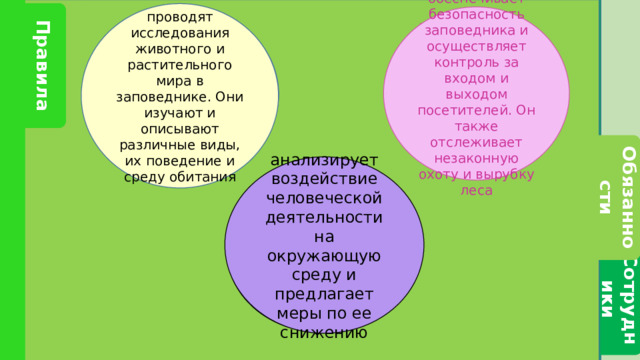 Сотрудники Обязанности Правила проводят исследования животного и растительного мира в заповеднике. Они изучают и описывают различные виды, их поведение и среду обитания Лесник и биолог обеспечивает безопасность заповедника и осуществляет контроль за входом и выходом посетителей. Он также отслеживает незаконную охоту и вырубку леса Какие задачи решают сотрудники заповедника? Правила поведения на территории заповедника.   Инспектор по охране территории анализирует воздействие человеческой деятельности на окружающую среду и предлагает меры по ее снижению Научный специалист Лебедева А.А. 3 