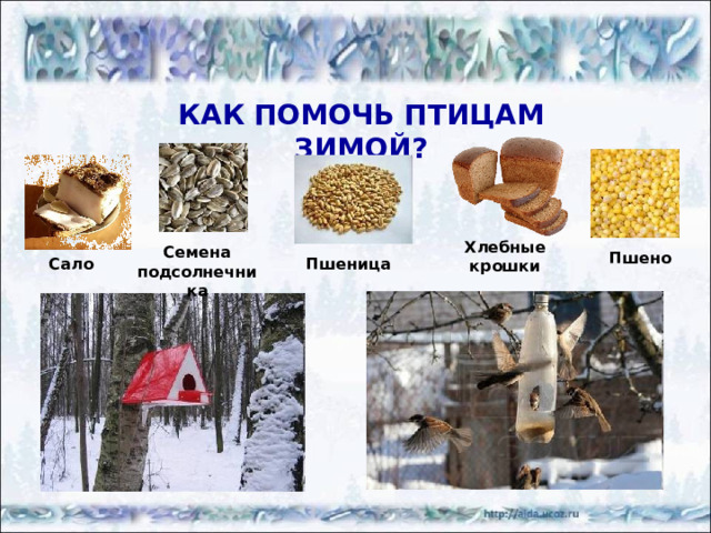 КАК ЗИМУЮТ РЫБЫ? http://www.1fj.ru/articles/Pervaya_shuka.html http://www.lendex.ru/forum/79-168-1 http://uk.wikipedia.org/wiki/ http://freelance.ru/users/AVyudin/?work=159474 http://uafishing.ucoz.ru/forum/4-224-1 http://rybolovlya.ucoz.ru/publ/2-1-0-12 http://fisher.in.ua/2008/01/14/lenok/ 