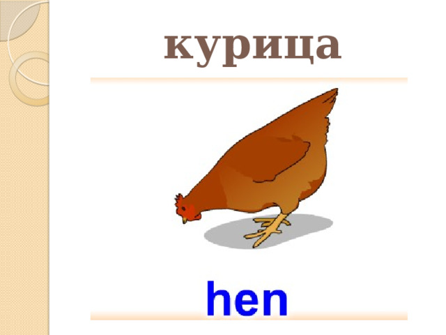 курица 