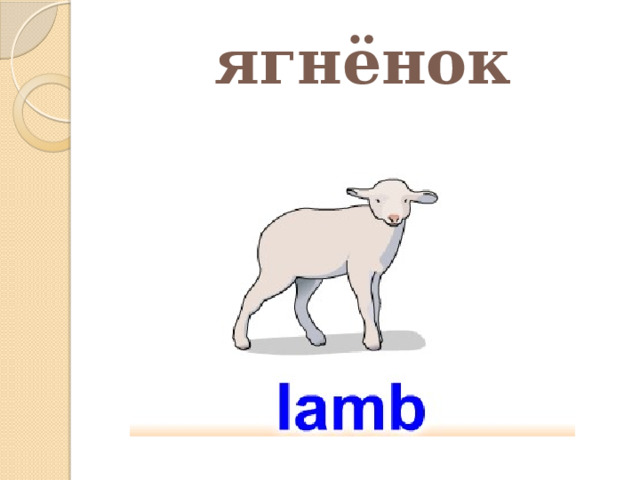 ягнёнок 