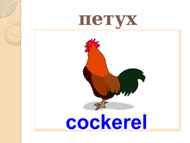 петух 
