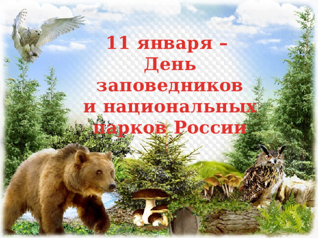 11 января – День заповедников и национальных парков России 