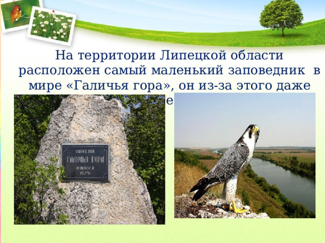 На территории Липецкой области расположен самый маленький заповедник в мире «Галичья гора», он из-за этого даже внесён в Книгу рекордов Гиннесса 