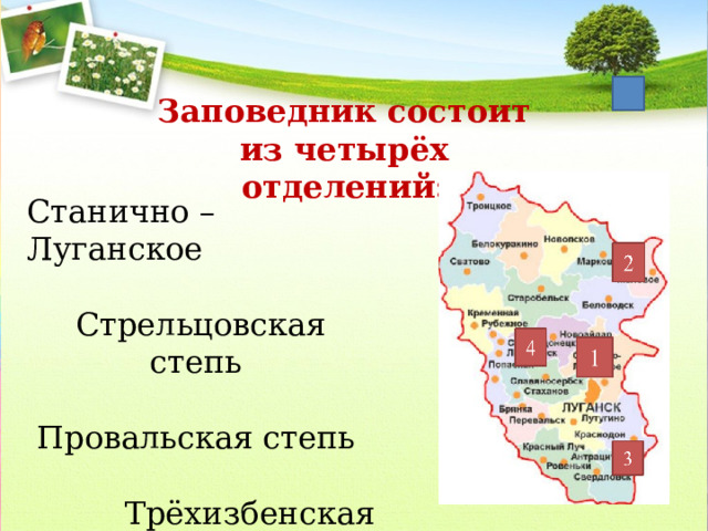Заповедник состоит из четырёх отделений: Станично – Луганское Стрельцовская степь Провальская степь Трёхизбенская степь 