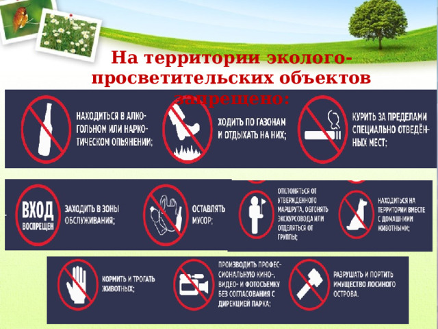 На территории эколого-просветительских объектов запрещено: 