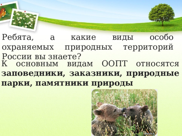 Ребята, а какие виды особо охраняемых природных территорий России вы знаете? К основным видам ООПТ относятся заповедники, заказники, природные парки, памятники природы 