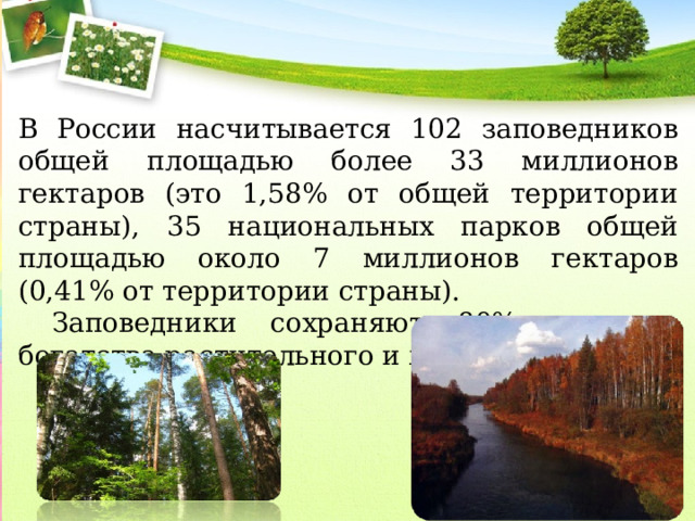 В России насчитывается 102 заповедников общей площадью более 33 миллионов гектаров (это 1,58% от общей территории страны),  35 национальных парков общей площадью около 7 миллионов гектаров (0,41% от территории страны).  Заповедники сохраняют 80% видового богатства растительного и животного мира. 