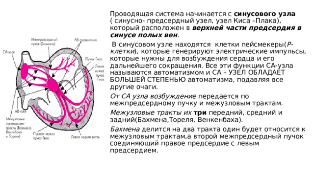 Интерстициальный узел по задней стенке 12 мм