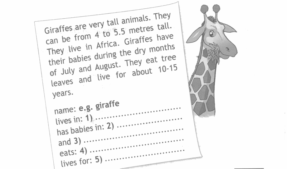 Giraffes are tall than elephants. Задания по английскому языку. Задания по английскому 4 класс. Упражнения по английскому 4 класс. Английский 4 класс задания.