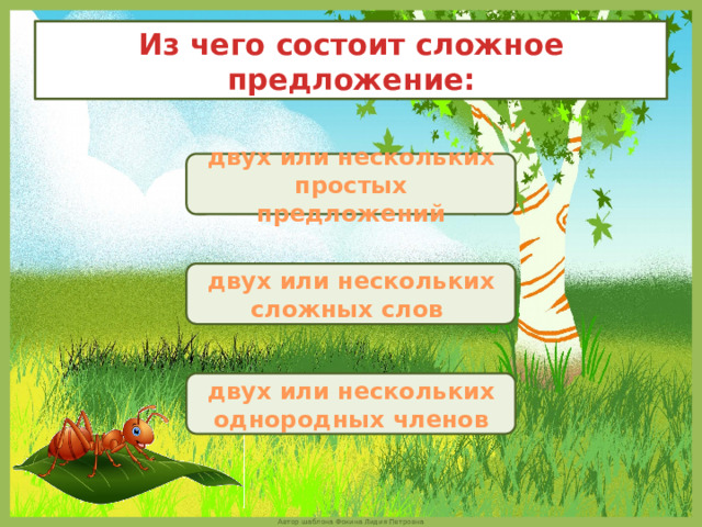 Из чего состоит сложное предложение: двух или нескольких простых предложений двух или нескольких сложных слов  двух или нескольких однородных членов 