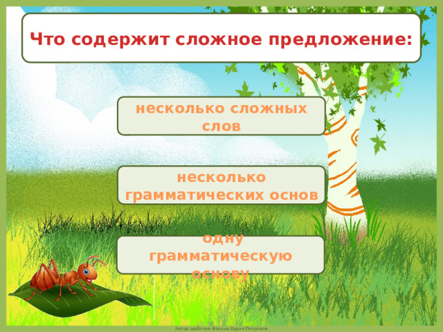 Что содержит сложное предложение: несколько сложных слов несколько грамматических основ   одну грамматическую основу 