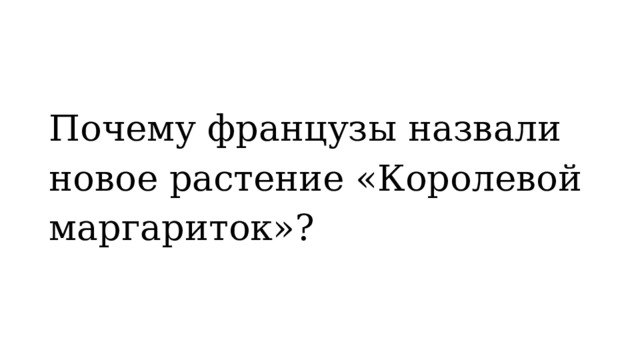 Почему французы назвали новое растение «Королевой маргариток»? 