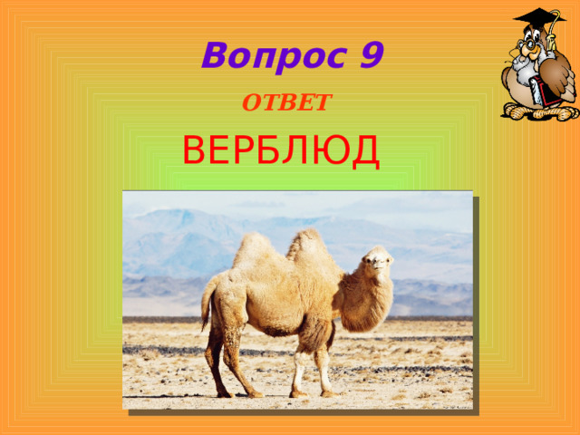 Вопрос 9  ОТВЕТ ВЕРБЛЮД   