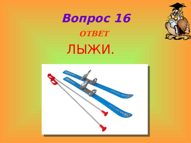 Вопрос 16  ОТВЕТ ЛЫЖИ. 