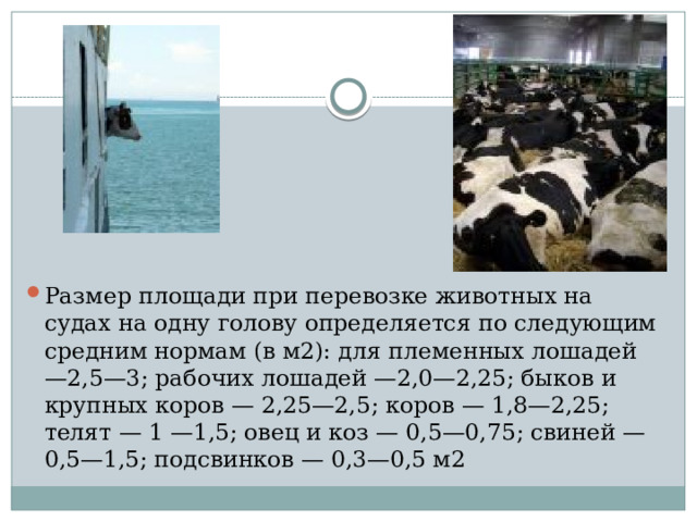 Размер площади при перевозке животных на судах на одну голову определяется по следующим средним нормам (в м2): для племенных лошадей —2,5—3; рабочих лошадей —2,0—2,25; быков и крупных коров — 2,25—2,5; коров — 1,8—2,25; телят — 1 —1,5; овец и коз — 0,5—0,75; свиней — 0,5—1,5; подсвинков — 0,3—0,5 м2 
