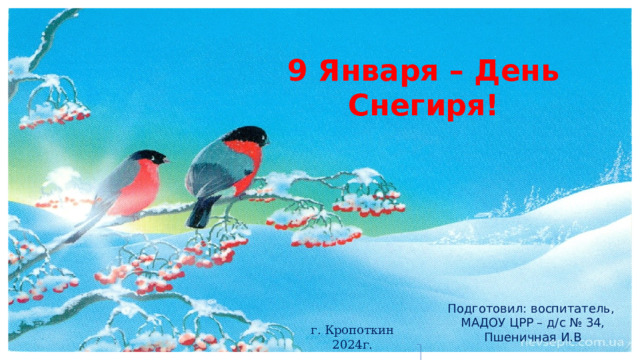 9 Января – День Снегиря! Подготовил:  воспитатель, МАДОУ ЦРР – д/с № 34, Пшеничная И.В г. Кропоткин 2024г. 