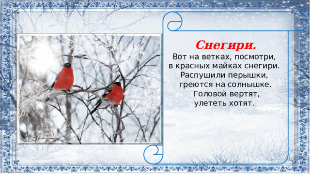   Снегири. Вот на ветках, посмотри, в красных майках снегири. Распушили перышки, греются на солнышке.  Головой вертят,  улететь хотят.          