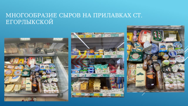 Многообразие сыров на прилавках сТ. Егорлыкской 