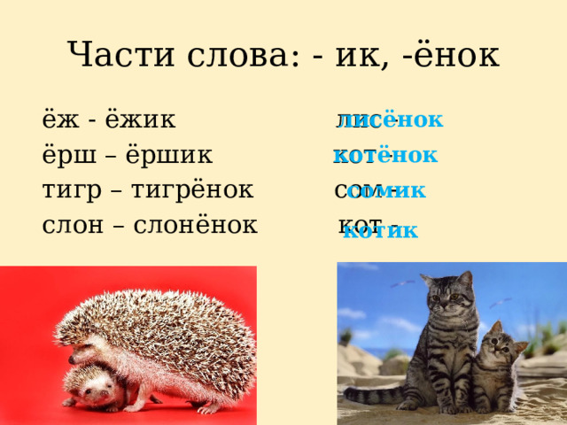 Части слова: - ик, -ёнок  ёж - ёжик лис -  ёрш – ёршик кот -  тигр – тигрёнок сом -  слон – слонёнок кот - лисёнок котёнок сомик котик 
