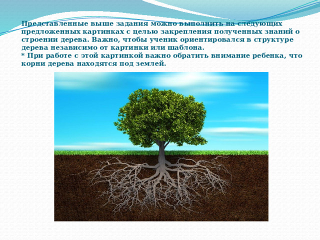 Представленные выше задания можно выполнить на следующих предложенных картинках с целью закрепления полученных знаний о строении дерева. Важно, чтобы ученик ориентировался в структуре дерева независимо от картинки или шаблона.  * При работе с этой картинкой важно обратить внимание ребенка, что корни дерева находятся под землей.   