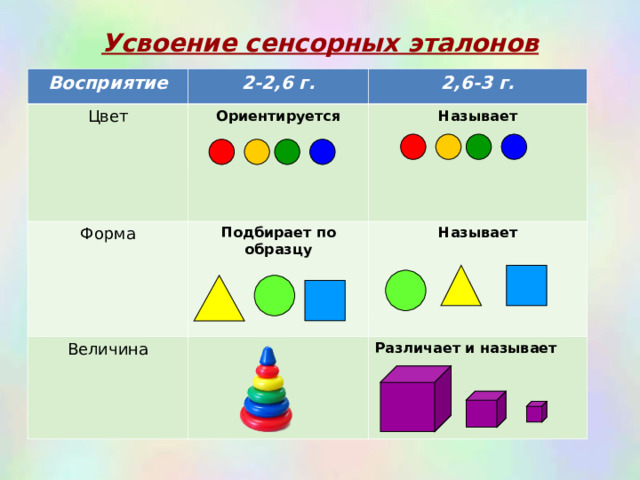 Усвоение сенсорных эталонов   Восприятие 2-2,6 г. Цвет 2,6-3 г. Ориентируется  Форма Называет Подбирает по образцу  Величина Называет  Различает и называет  