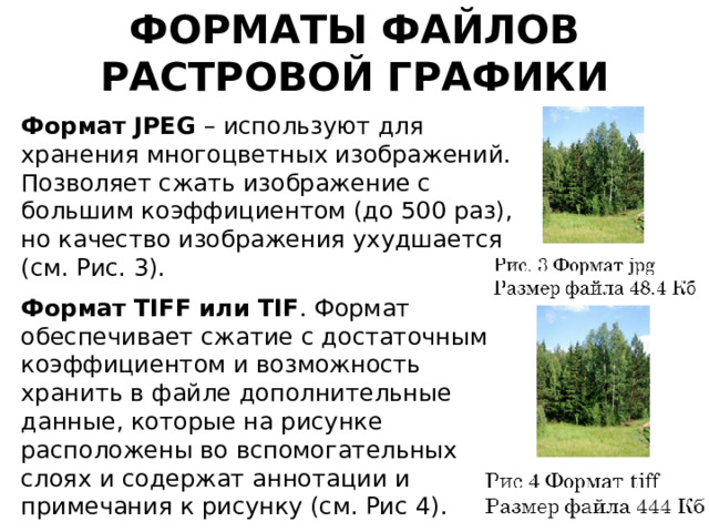 Форматы файлов растровой графики Формат  JPEG – используют для хранения многоцветных изображений. Позволяет сжать изображение с большим коэффициентом (до 500 раз), но качество изображения ухудшается (см. Рис. 3). Формат  TIFF или TIF . Формат обеспечивает сжатие с достаточным коэффициентом и возможность хранить в файле дополнительные данные, которые на рисунке расположены во вспомогательных слоях и содержат аннотации и примечания к рисунку (см. Рис 4). 