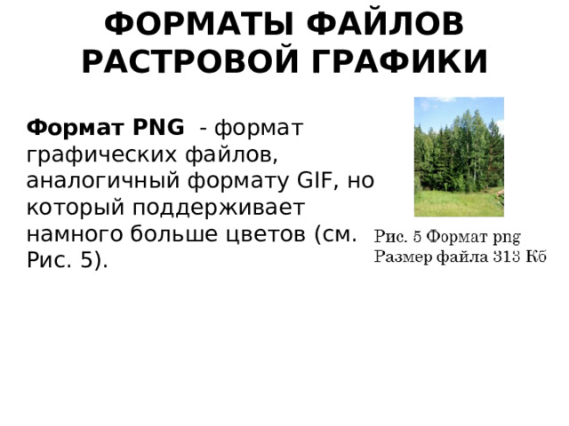 Форматы файлов растровой графики Формат PNG - формат графических файлов, аналогичный формату GIF, но который поддерживает намного больше цветов (см. Рис. 5). 