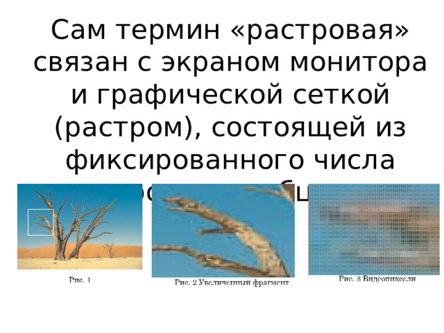 Сам термин «растровая» связан с экраном монитора и графической сеткой (растром), состоящей из фиксированного числа строк и столбцов. 
