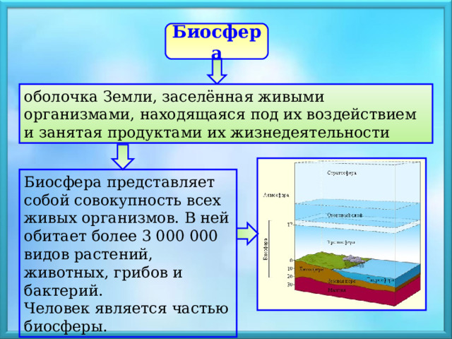 Биосфера оболочка Земли, заселённая живыми организмами, находящаяся под их воздействием и занятая продуктами их жизнедеятельности Биосфера представляет собой совокупность всех живых организмов. В ней обитает более 3 000 000 видов растений, животных, грибов и бактерий. Человек является частью биосферы. 