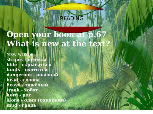       Open your book at p.67  What is new at the text?  NEW WORDS stripes - полосы hide - cкрываться hunts - oxотится dangerous - oпасный head - голова heavy - тяжёлый trank - хобот horn - рог alone - oдин (одинокий) mud - грязь  READING 