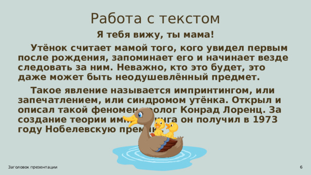 Работа с текстом Я тебя вижу, ты мама!  Утёнок считает мамой того, кого увидел первым после рождения, запоминает его и начинает везде следовать за ним. Неважно, кто это будет, это даже может быть неодушевлённый предмет.  Такое явление называется импринтингом, или запечатлением, или синдромом утёнка. Открыл и описал такой феномен зоолог Конрад Лоренц. За создание теории импринтинга он получил в 1973 году Нобелевскую премию. Заголовок презентации 1 