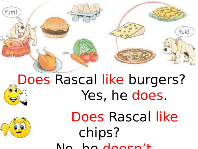 Does Rascal like burgers?  Yes, he does .  Does Rascal like chips? No, he doesn’t . 