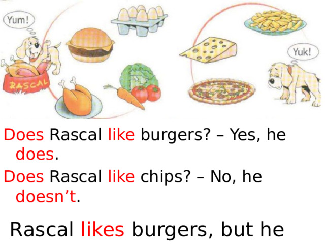 Does Rascal like burgers? – Yes, he does . Does Rascal like chips? – No, he doesn’t .  Rascal likes burgers, but he  doesn’t like chips . 
