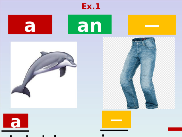 Ex.1  an ─ a ___ jeans ___  dolphin ─ a  