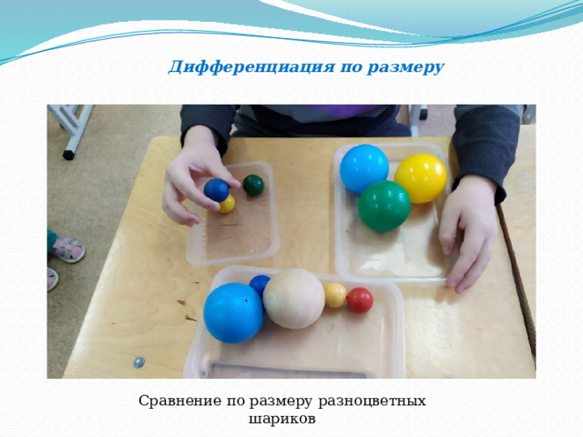  Дифференциация по размеру Сравнение по размеру разноцветных шариков 