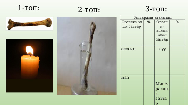 1-топ: 3-топ: 2-топ: Заттардын аталышы Органикалык заттар % оссеин Органи-калык эмес заттар май суу     %      Мине-ралдык заттар     