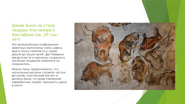 Дикие быки на стене пещеры Альтамира в Кантабрии (ок. 20 тыс. лет) Эти великолепные изображения животных выполнены очень давно, еще в эпоху палеолита и чудом дошли до наших дней. Достоверных свидетельств о причинах создания и значении пещерной живописи не сохранилось. Можно лишь предположить, что наскальные рисунки служили частью ритуалов «охотничьей магии» и должны были, по представлениям первобытных людей, приносить удачу в охоте 