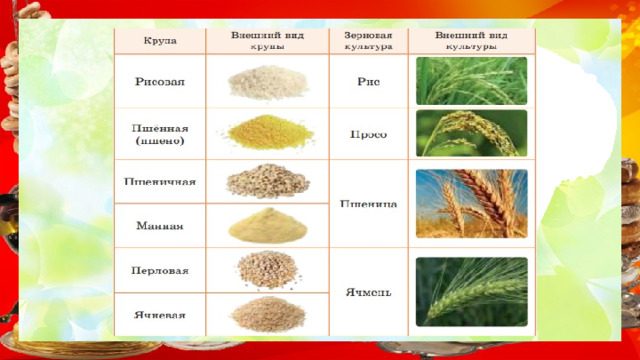 Презентация " Крупы в питании человека"