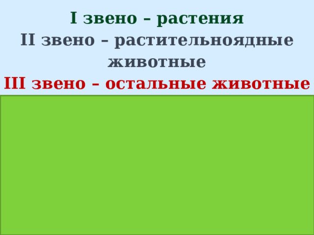 I звено – растения  II звено – растительноядные животные  III звено – остальные животные дуб кабан волк жук-короед сосна дятел 