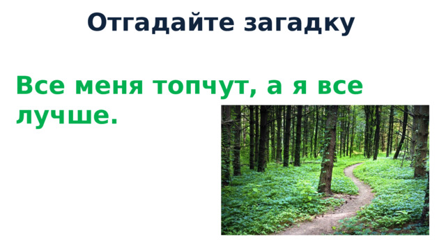 Все меня топчут, а я все лучше. | Правильный ответ к игре 