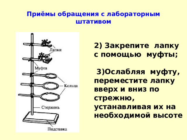 Приёмы обращения с лабораторным штативом 2) Закрепите лапку с помощью муфты;   3)Ослабляя муфту, переместите лапку вверх и вниз по стрежню, устанавливая их на необходимой высоте 