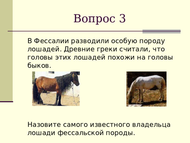 Вопрос 3  В Фессалии разводили особую породу лошадей. Древние греки считали, что головы этих лошадей похожи на головы быков.  Назовите самого известного владельца лошади фессальской породы. 