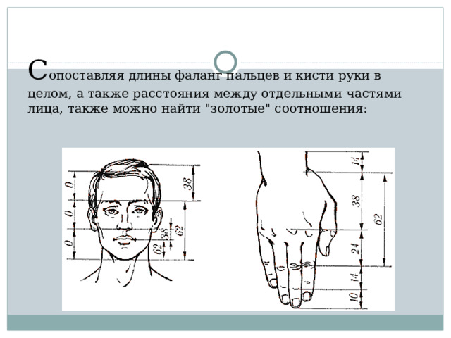 С опоставляя длины фаланг пальцев и кисти руки в целом, а также расстояния между отдельными частями лица, также можно найти 